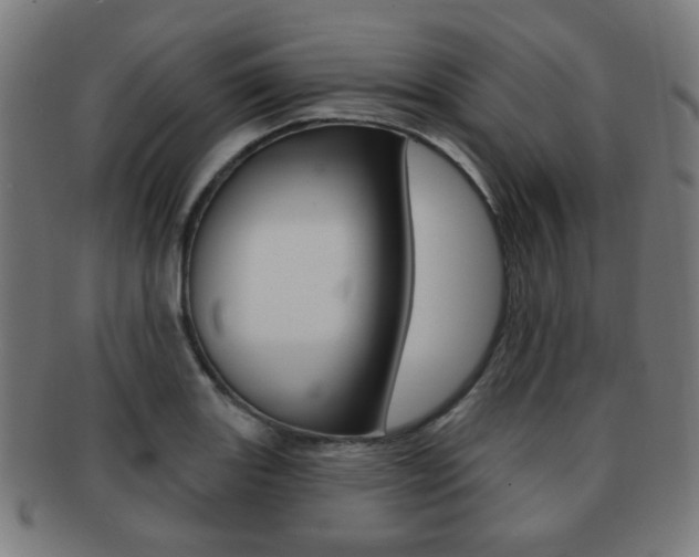 X0000091891131200709051039