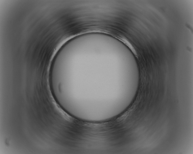 X0000091891132200709051039