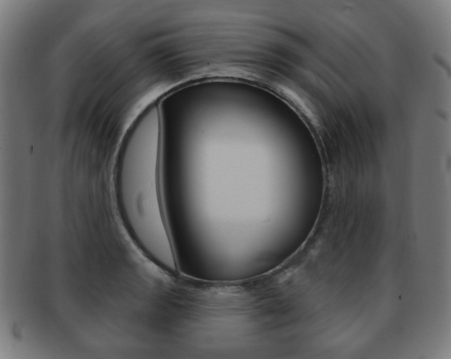 X0000091891133200709051039