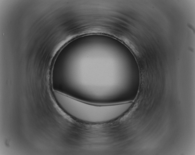 X0000091891134200709051039