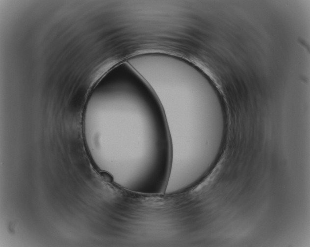 X0000091891137200709051039