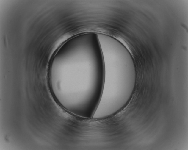 X0000091891139200709051039