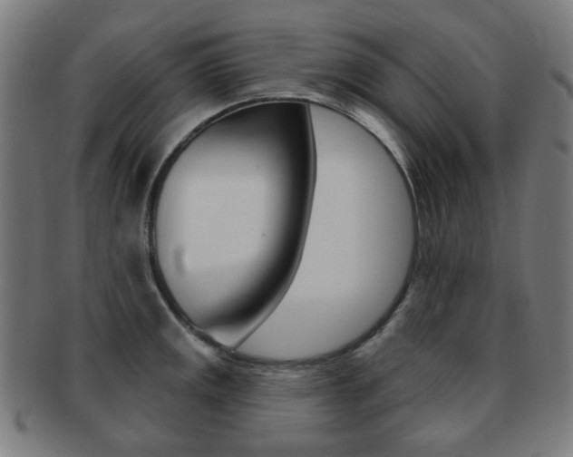 X0000091891141200709051040