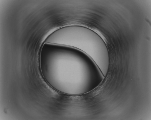 X0000091891142200709051040