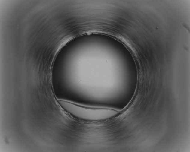 X0000091891145200709051040