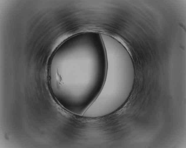 X0000091891147200709051040