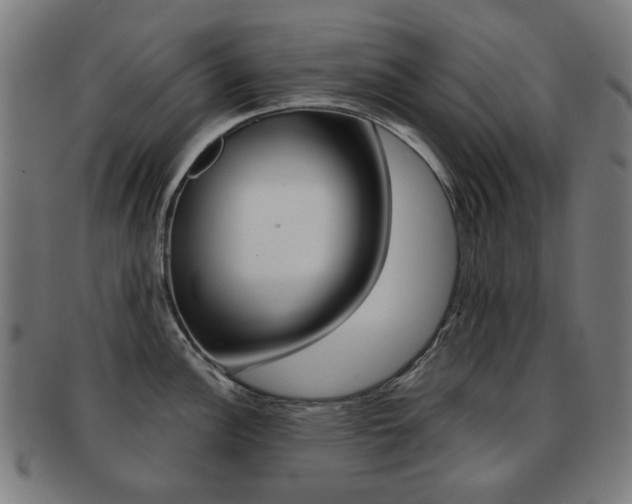 X0000091891148200709051040
