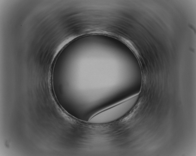 X0000091891149200709051040