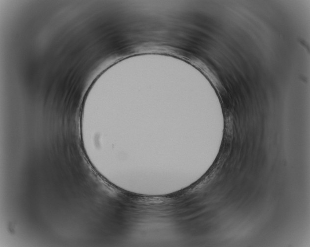 X0000091891150200709051040