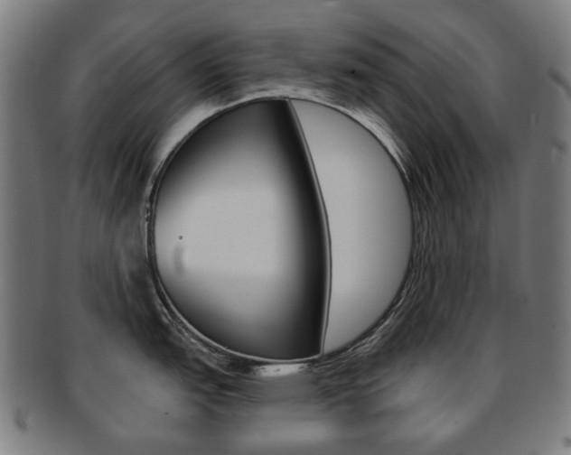 X0000091891151200709051040
