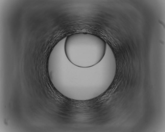 X0000091891153200709051039