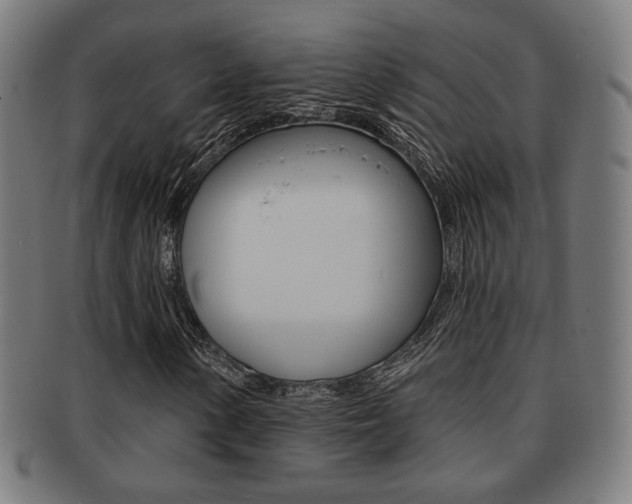 X0000091891154200709051039