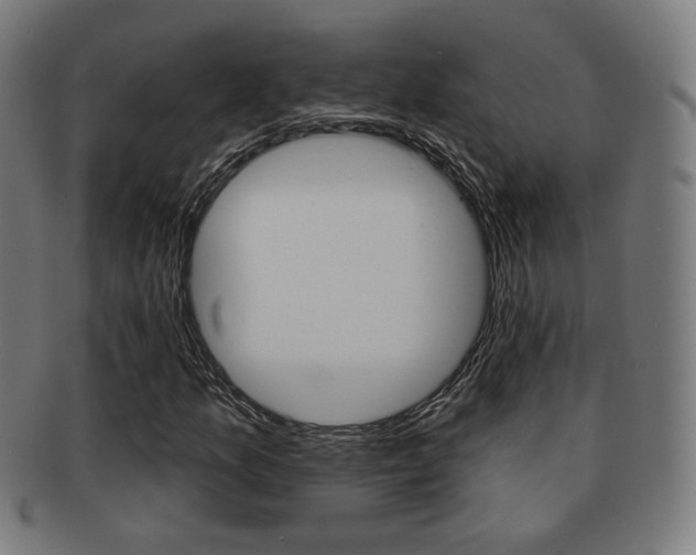 X0000091891157200709051039