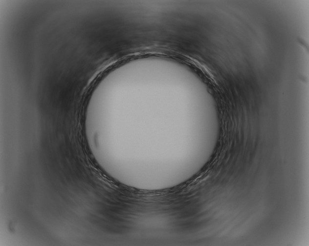 X0000091891160200709051039