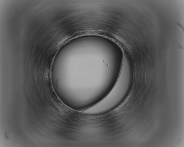 X0000091891161200709051039
