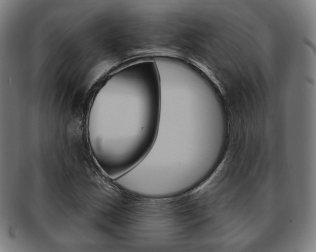 X0000091891163200709051039