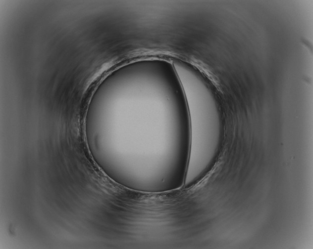 X0000091891165200709051039