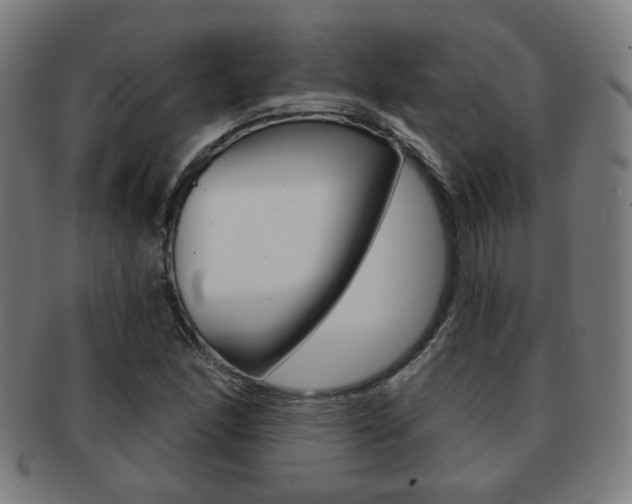 X0000091891166200709051039