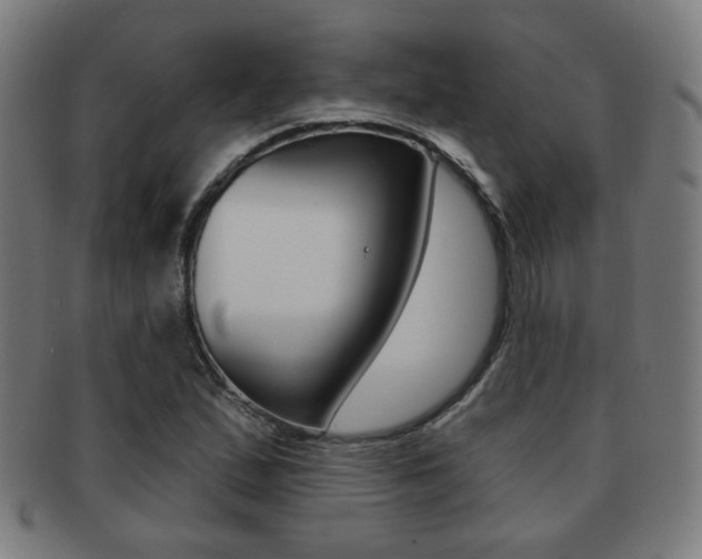 X0000091891167200709051039