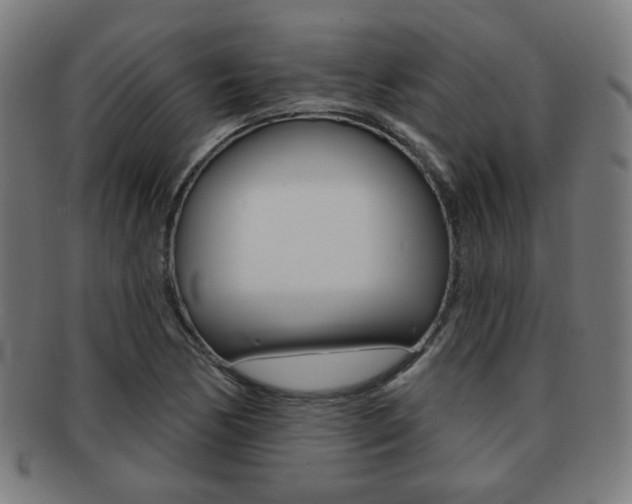 X0000091891170200709051039