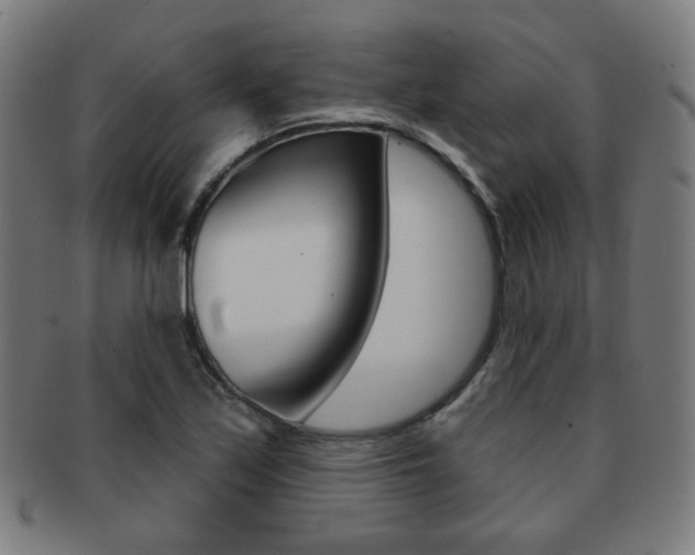 X0000091891171200709051039