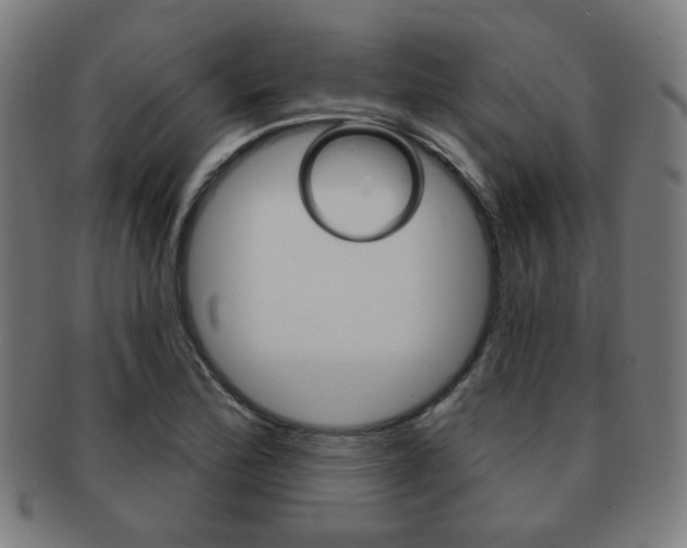 X0000091891172200709051039