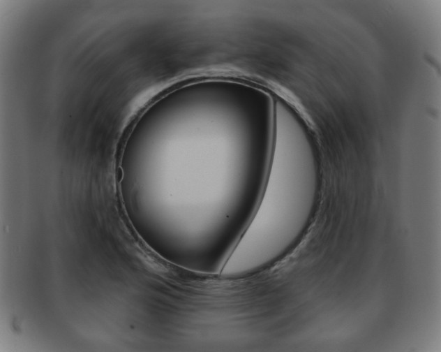 X0000091891176200709051039