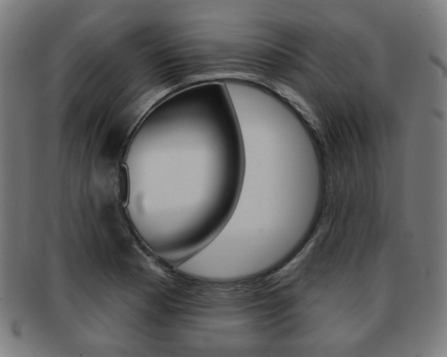 X0000091891177200709051039