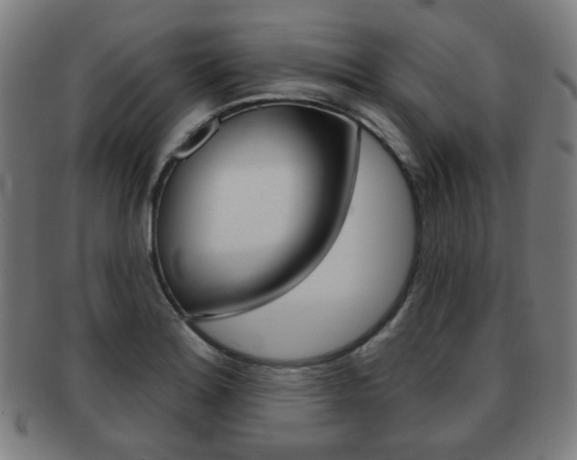 X0000091891180200709051039