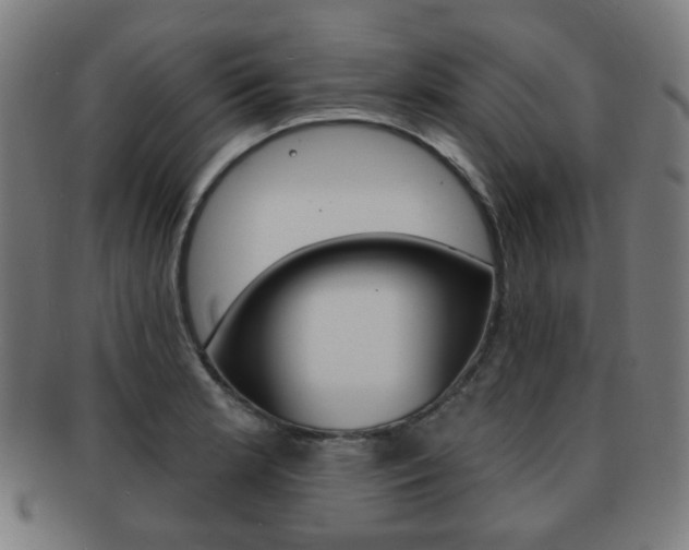 X0000091891181200709051039