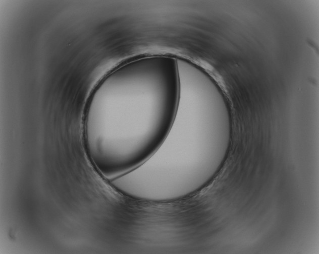 X0000091891183200709051039
