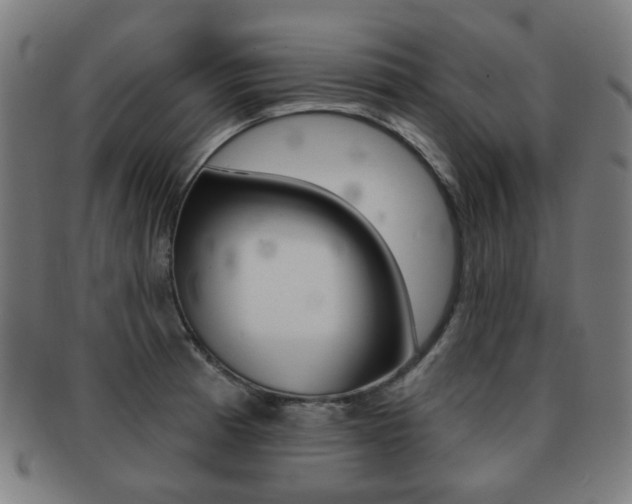 X0000091891185200709051039