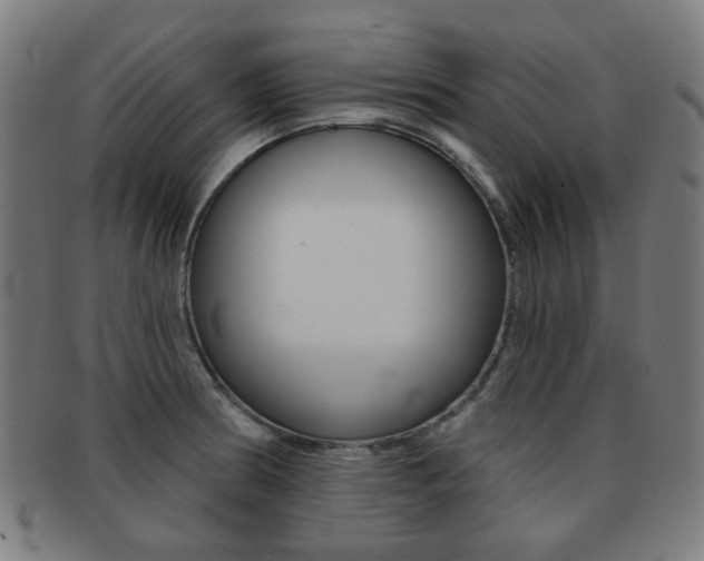 X0000091891186200709051039