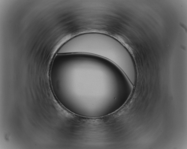X0000091891189200709051039