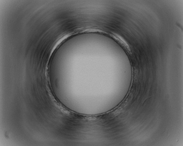 X0000091891190200709051039