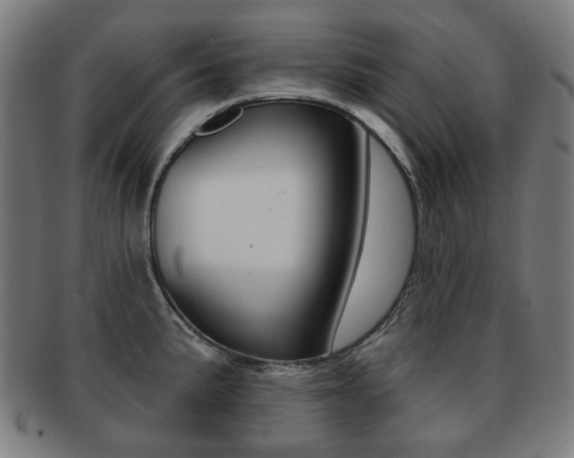 X0000091891191200709051039