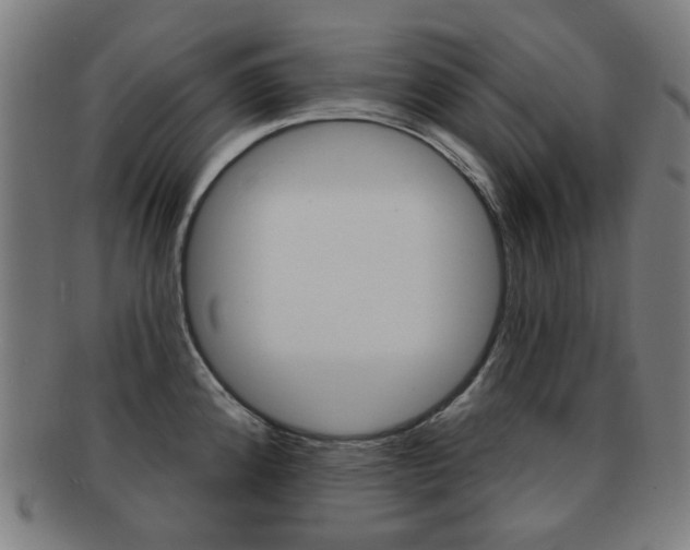 X0000091891192200709051039