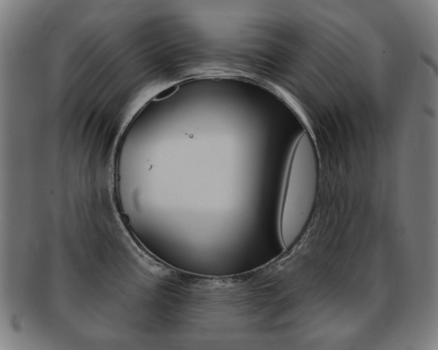 X0000091891195200709051039