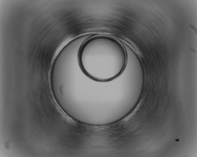 X0000091891196200709051039