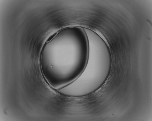X0000091891197200709051039