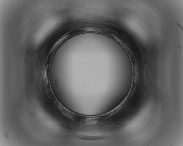 X0000091891198200709051039