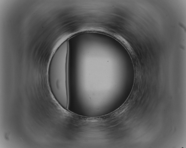 X0000091891199200709051039