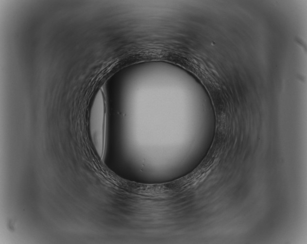 X0000091891201200709051038