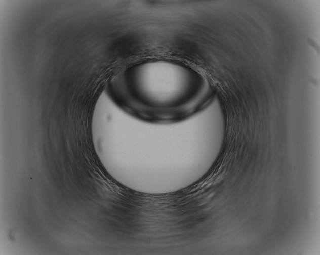 X0000091891202200709051038