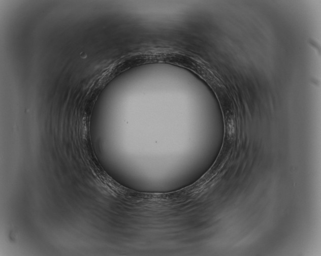 X0000091891204200709051038