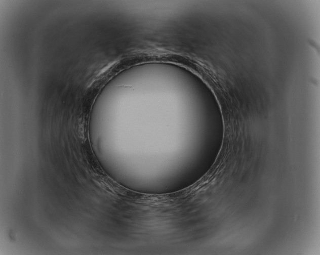 X0000091891205200709051038