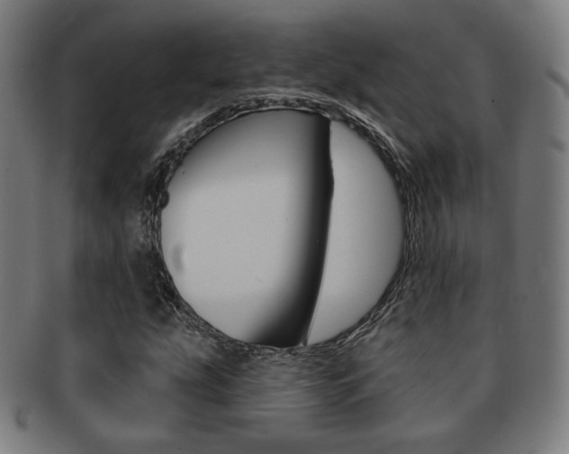 X0000091891207200709051038