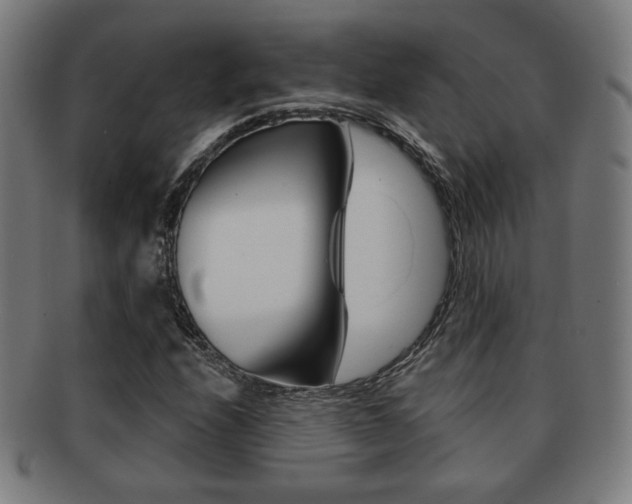 X0000091891208200709051038