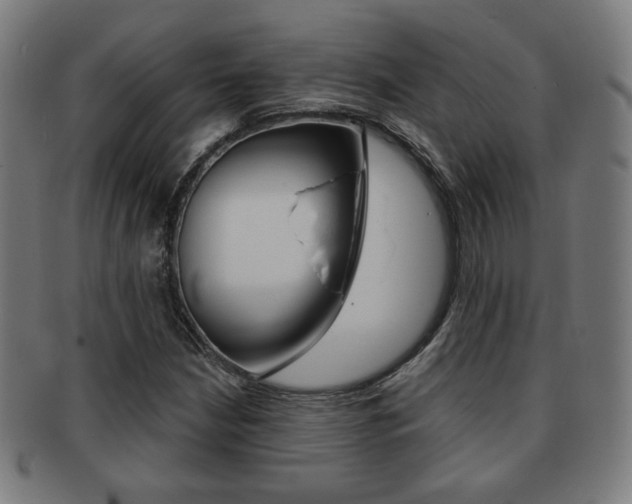 X0000091891210200709051038