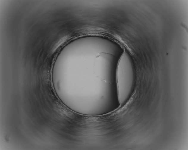 X0000091891211200709051038